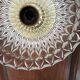 Vintage wall sconce moulded glass