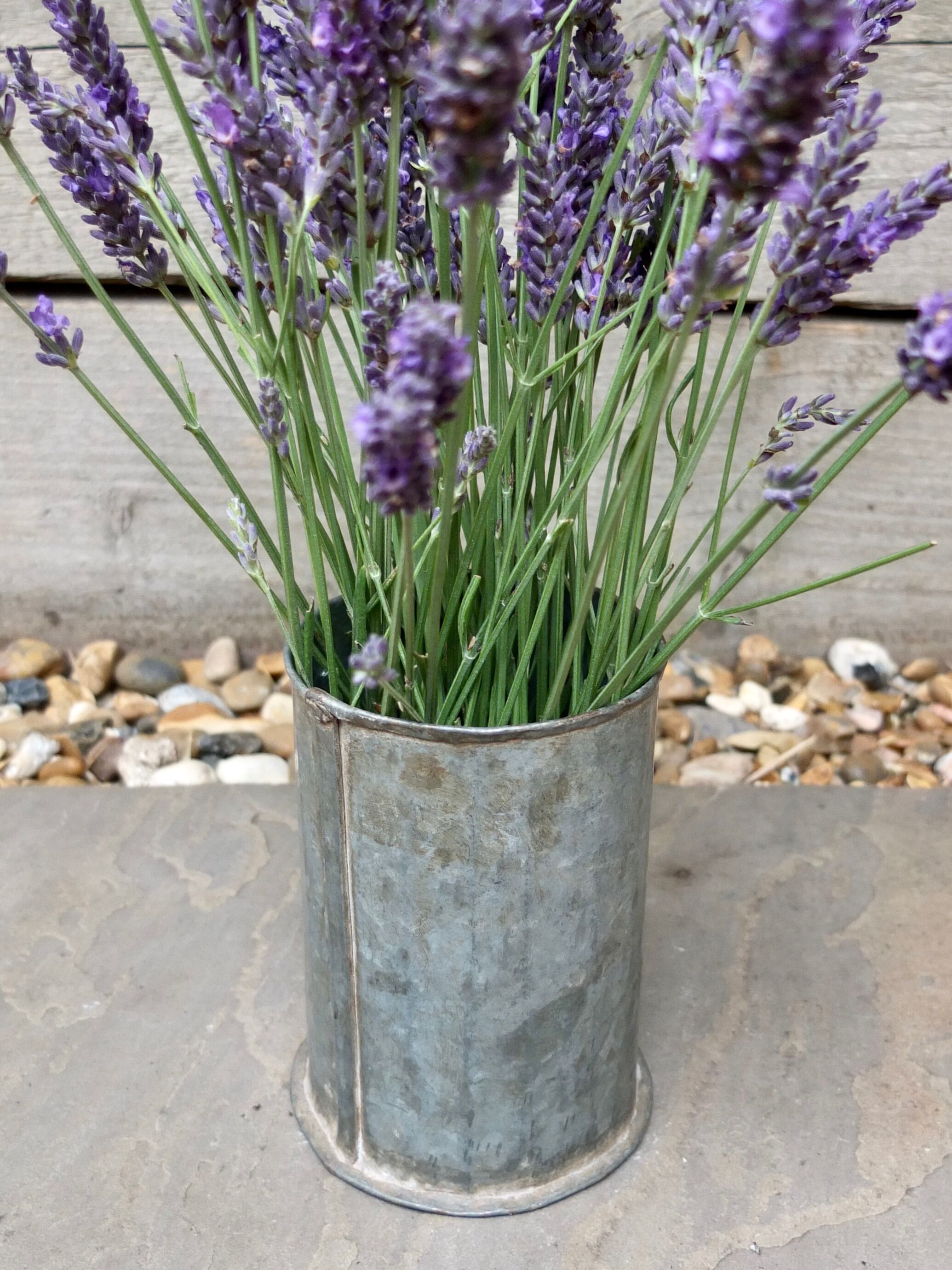 Vintage Galvanised Zinc Flower Pot / Grain Measure