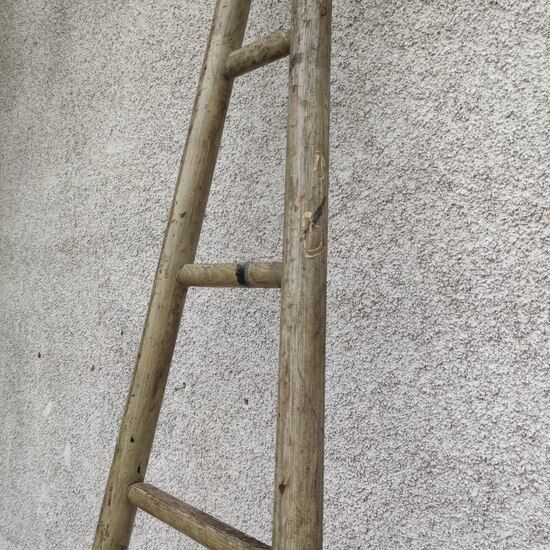 Old painter's ladder