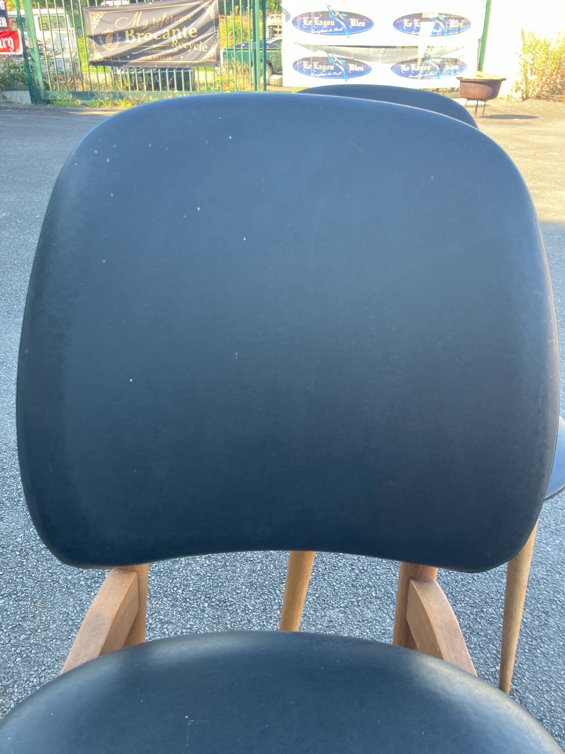 Baumann Pegasus Vintage Chair