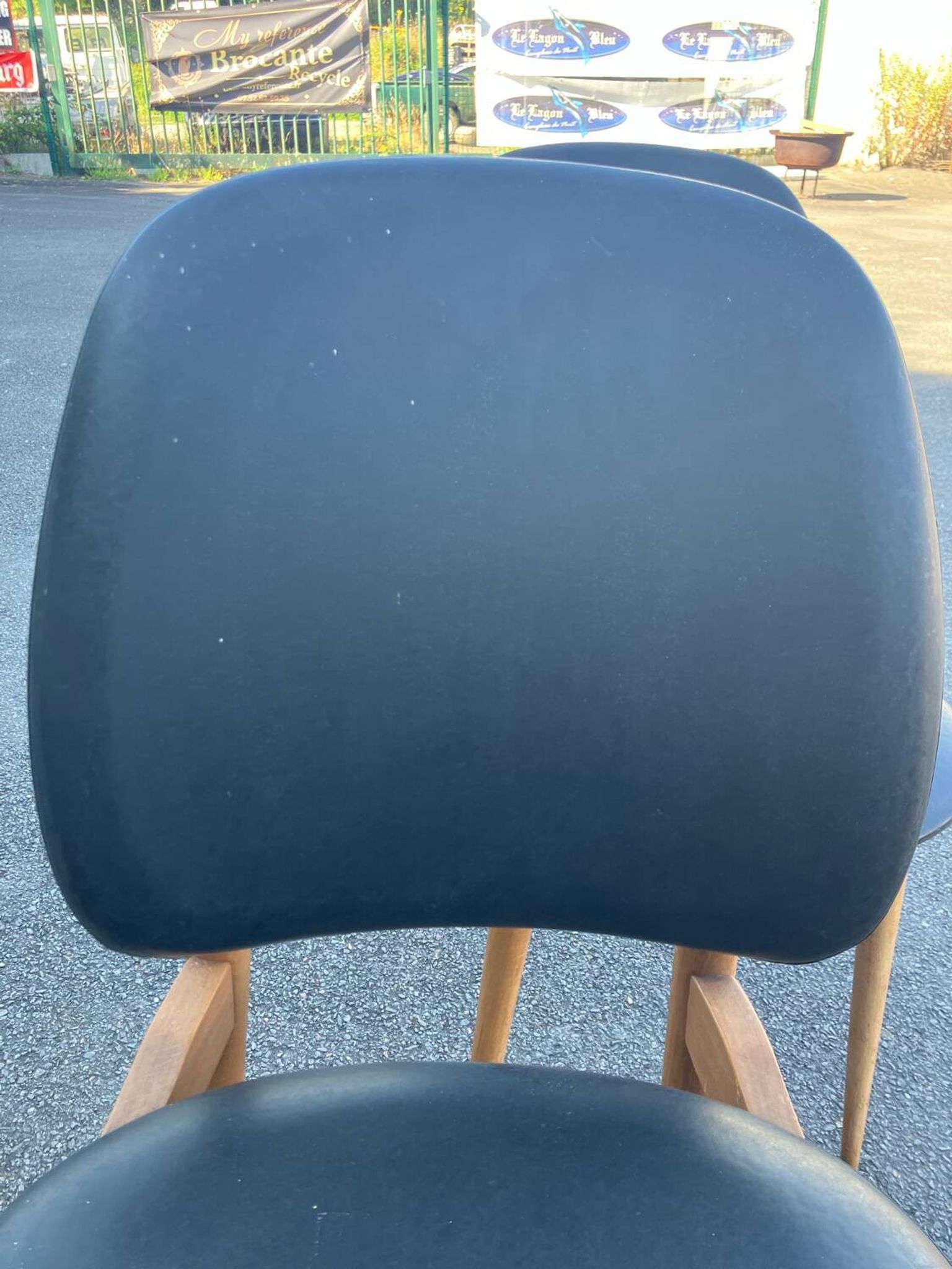 Baumann Pegasus Vintage Chair