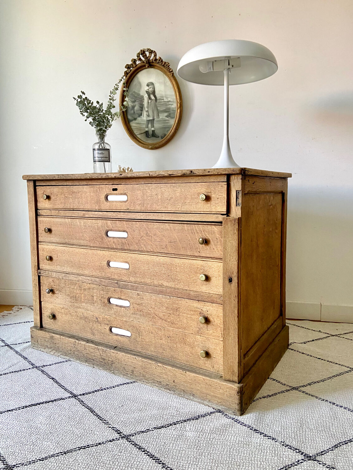 Oak professional furniture - Chest of drawers