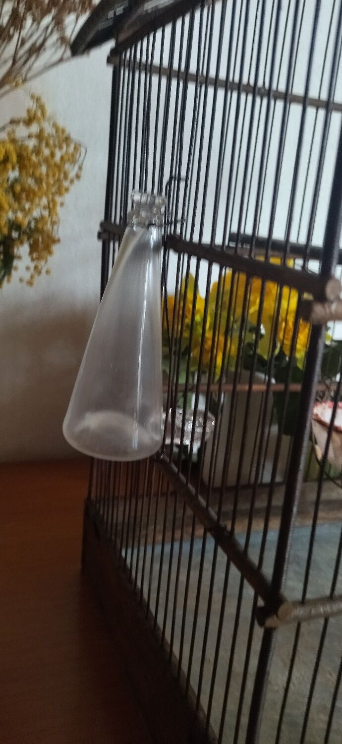 Cage ancienne