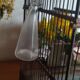 Cage ancienne