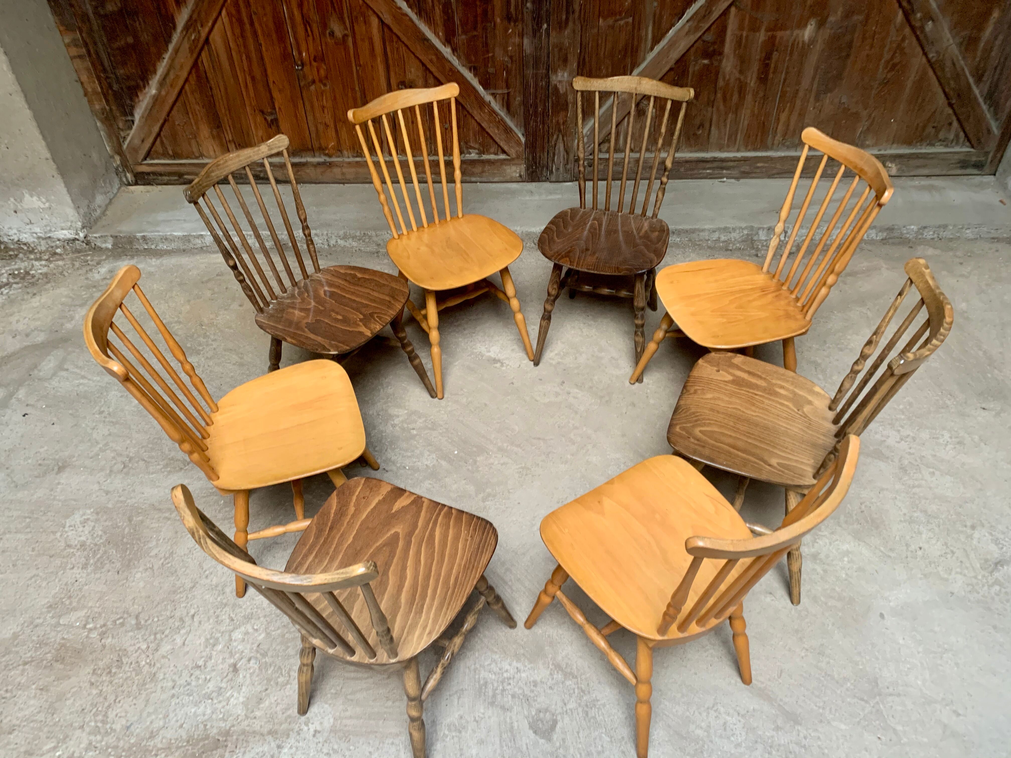 Series lot of 8 chairs bistrot Baumann modele menuet light wood dark wood
