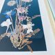Framed seagrass beds