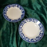 Duo plates flat and hollow apple Saint-Amand