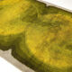 Extra Large Vintage Multi-Color High Pile Rug by Desso, Netherlands 1970s 200x300cm