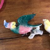 Set of two exotic birds
