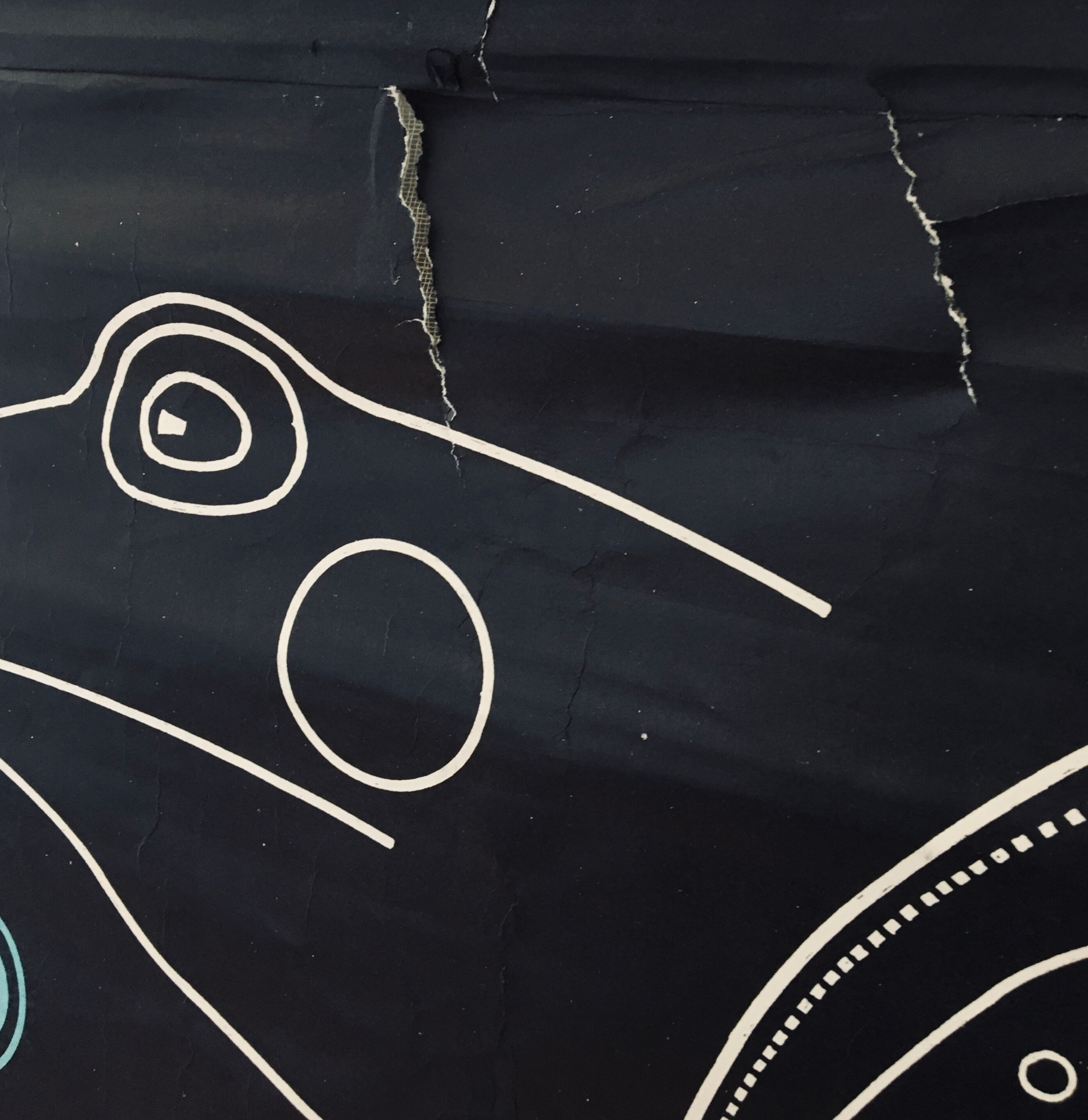 Dr. Auzoux's school poster: The Frog