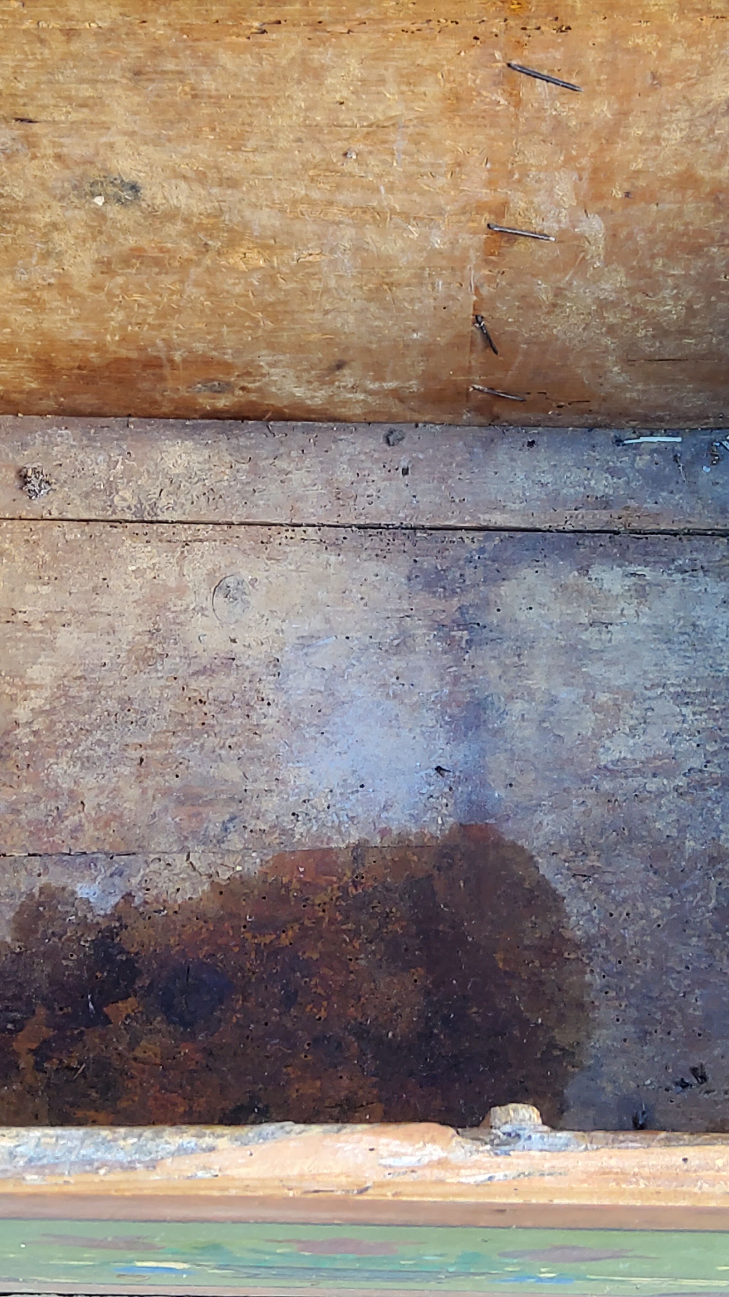 Alsatian polychrome wedding chest eighteenth -nineteenth century