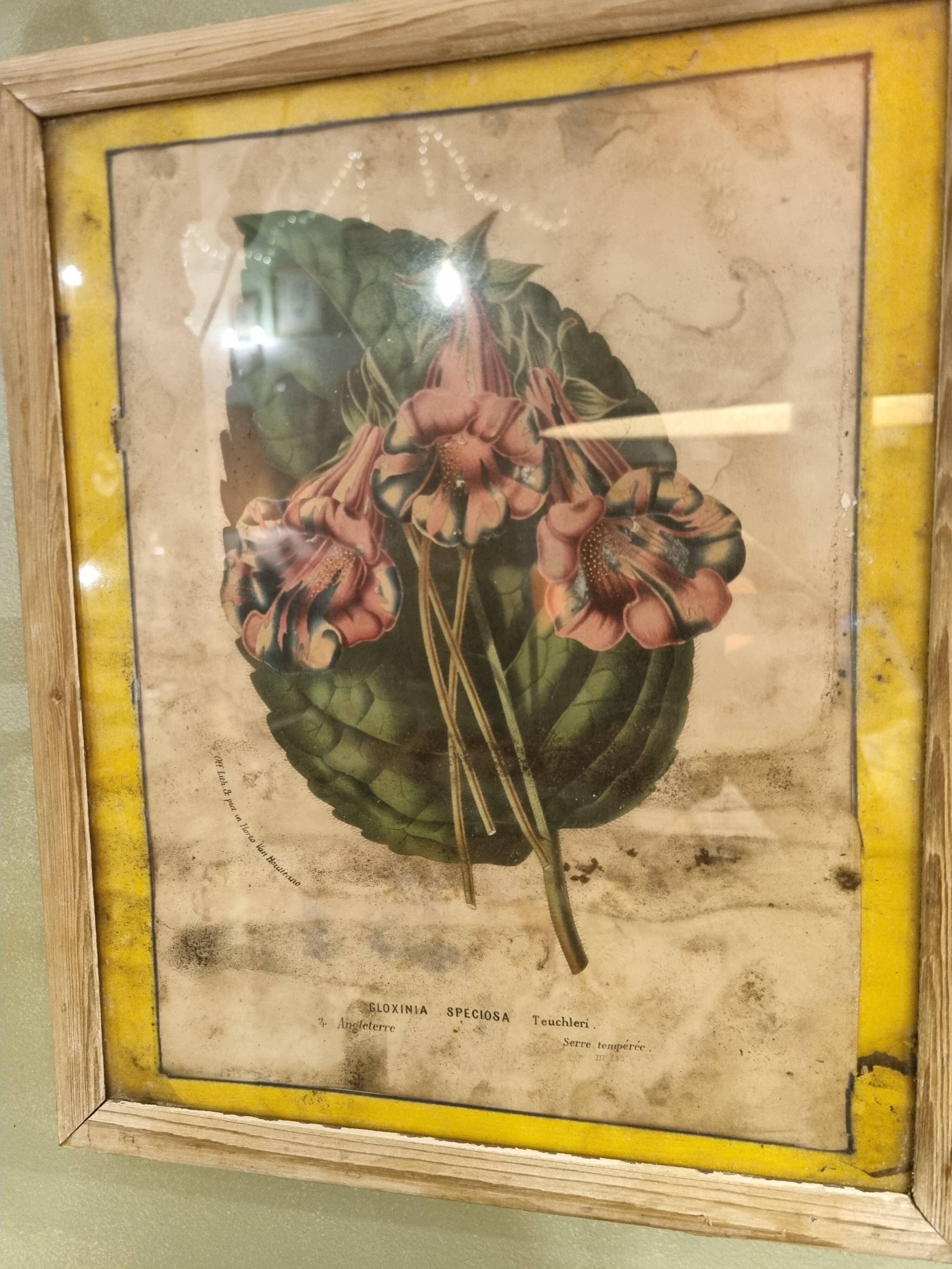 Floral engraving late 18th