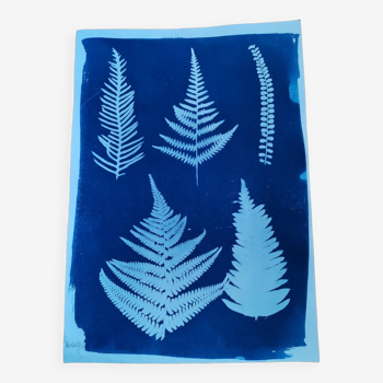 Vintage blue ferns cyanotype