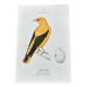 Planche botanique vintage gravure oiseau 19e