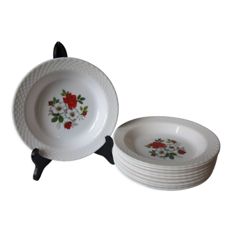 10 assiettes creuse de chez Arcopal vintage en bon état