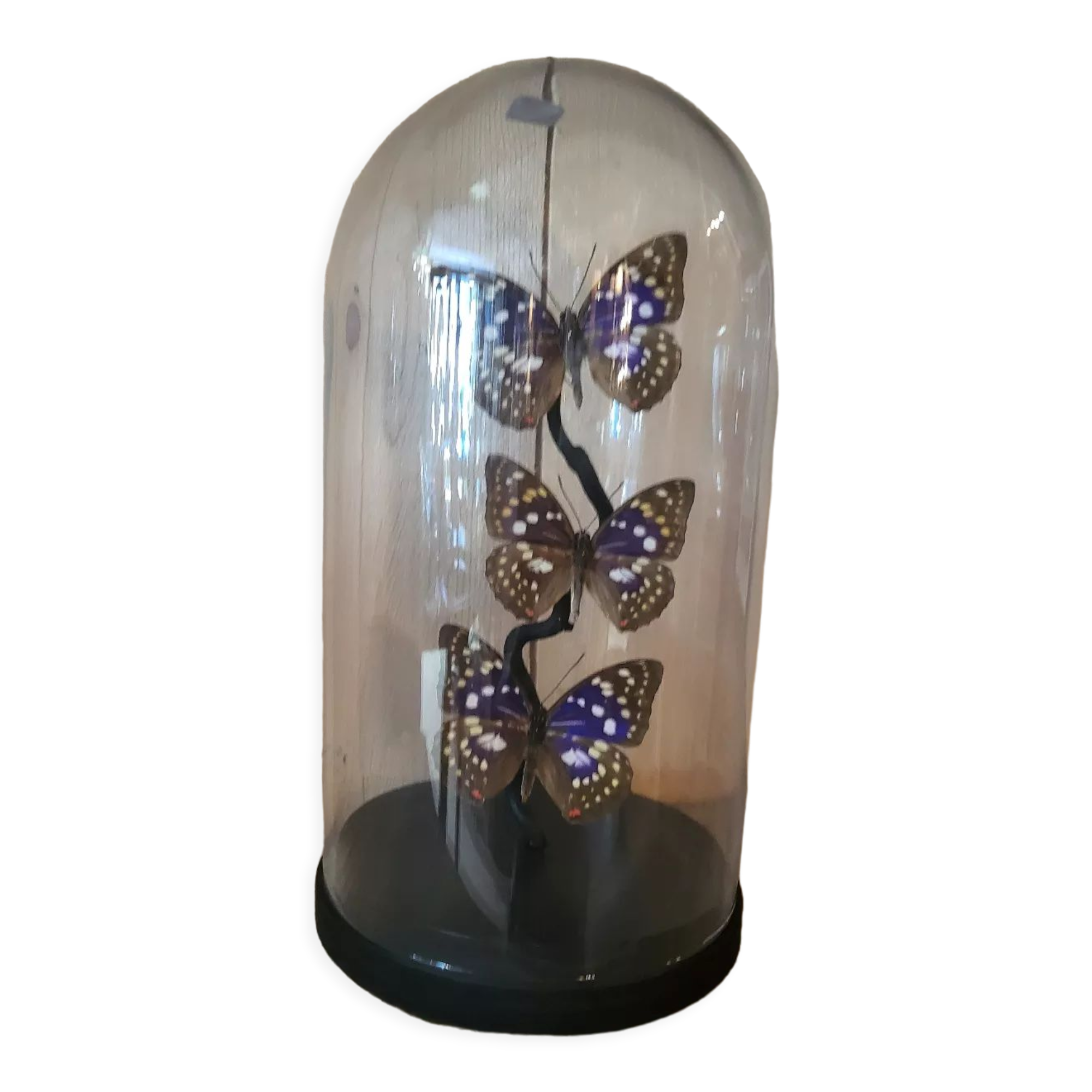 Globe trio de papillons