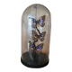 Globe trio de papillons