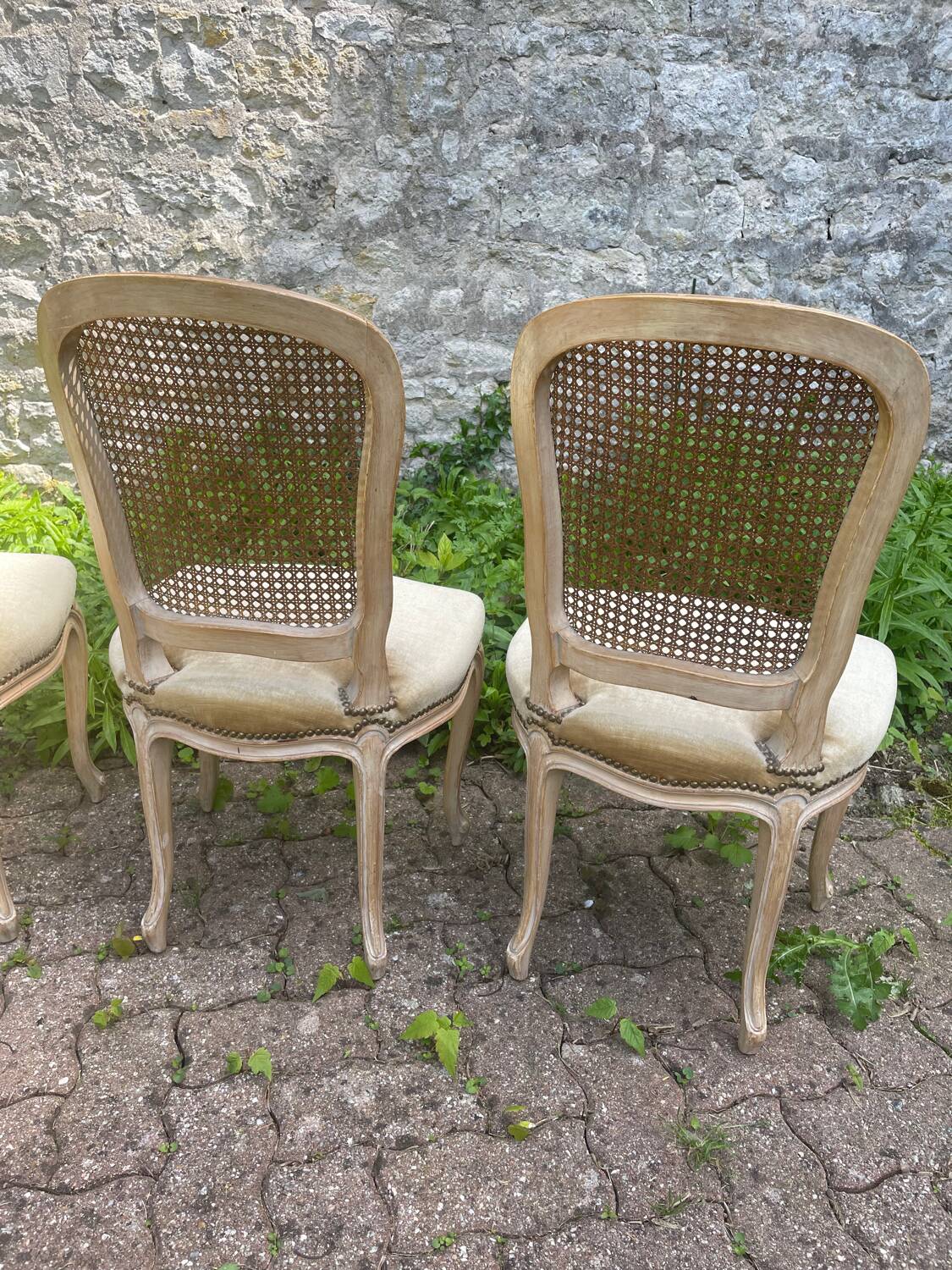 Cane and velvet chairs