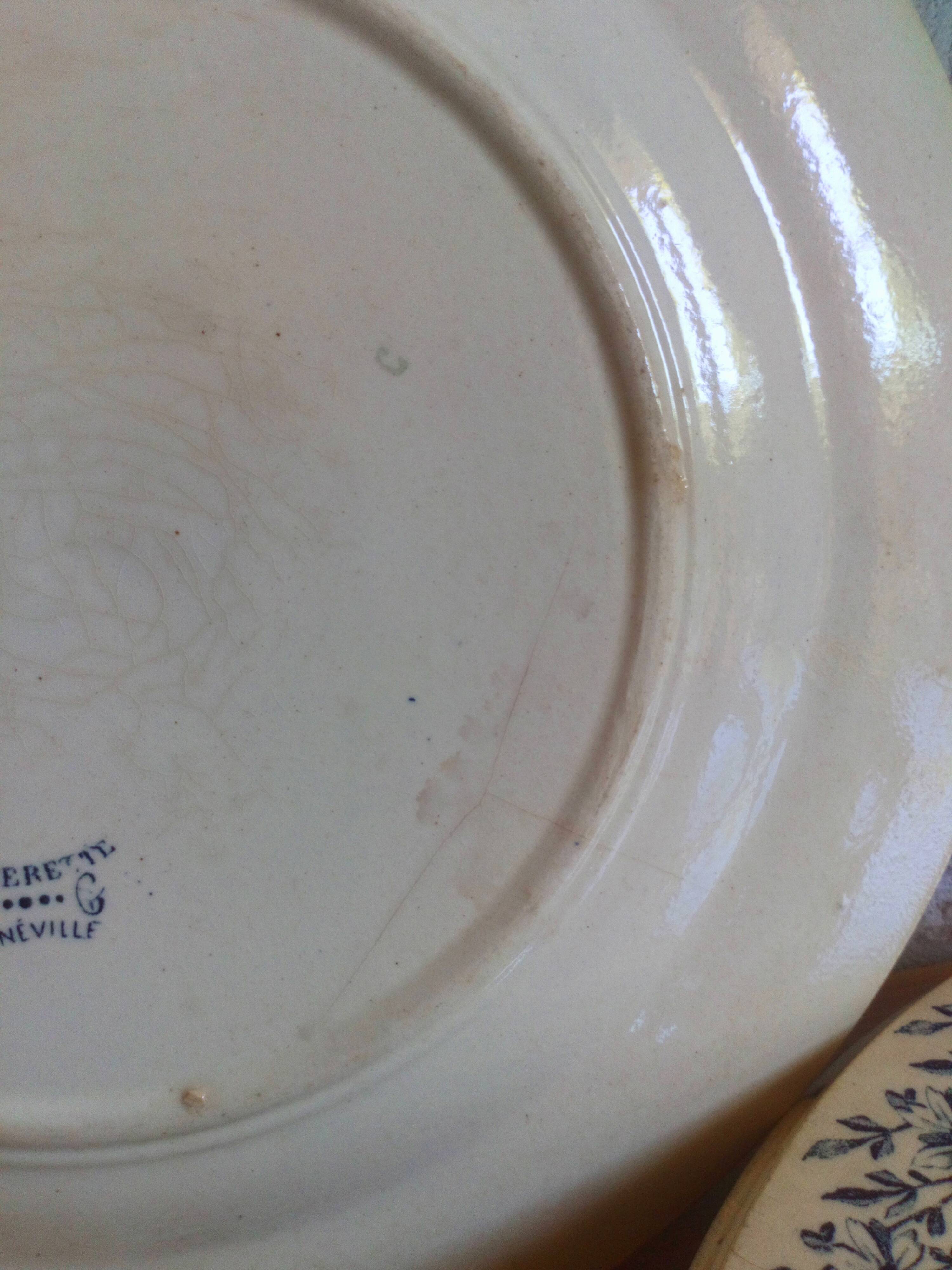 Six old plates made of lednéville iron soil from the "paquerette" sevice
