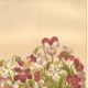 Botanical engraving from 1889 - Violet - Antique natural floral plate