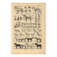 Gravure ancienne de 1923 - Anatomie et races du cheval par A. Millot