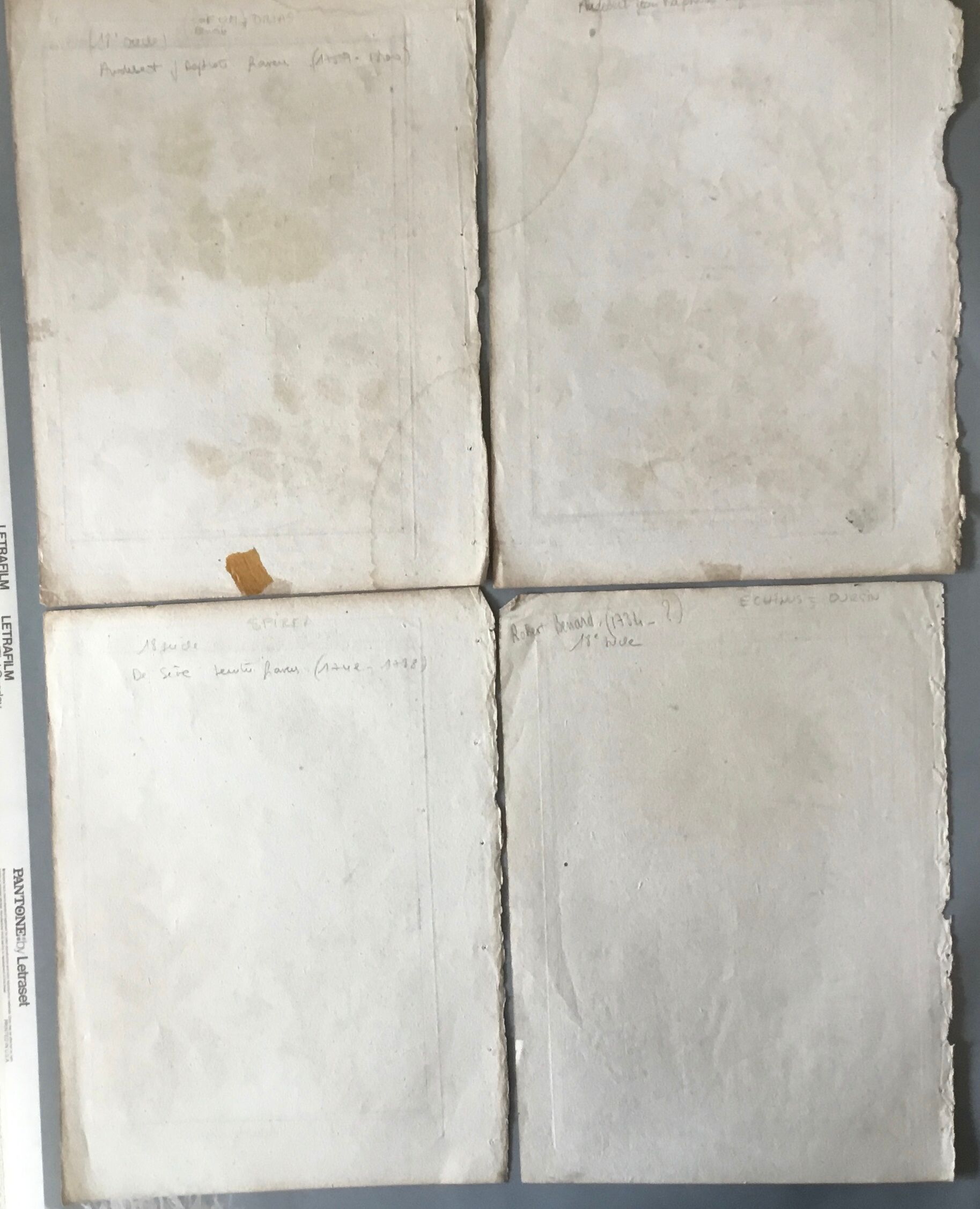 Lots of 4 old engravings, Natural History, Botany