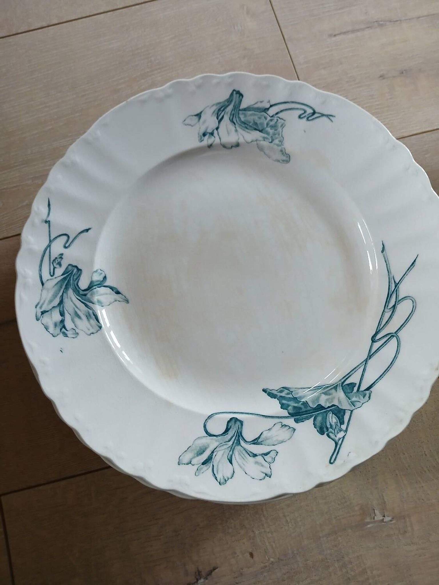 12 assiettes plates anciennes en Terre de fer 