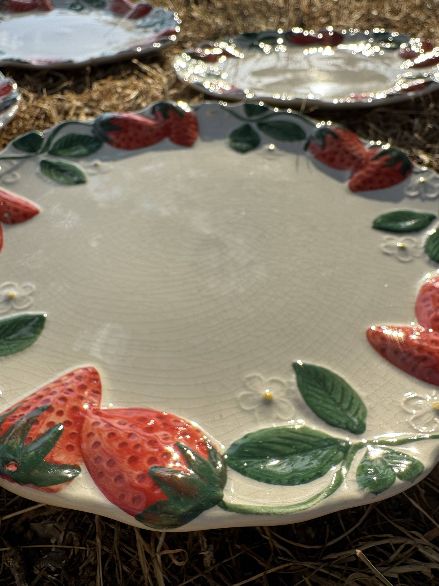 Longchamp antique strawberry barbotine plates