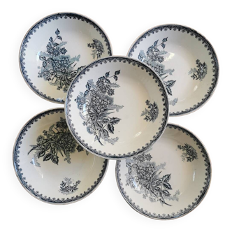 Margot old skull plates