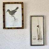 Botanical plate 1830, glazed wooden frame