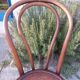 pair of round wooden chairs with a pattern on the seat