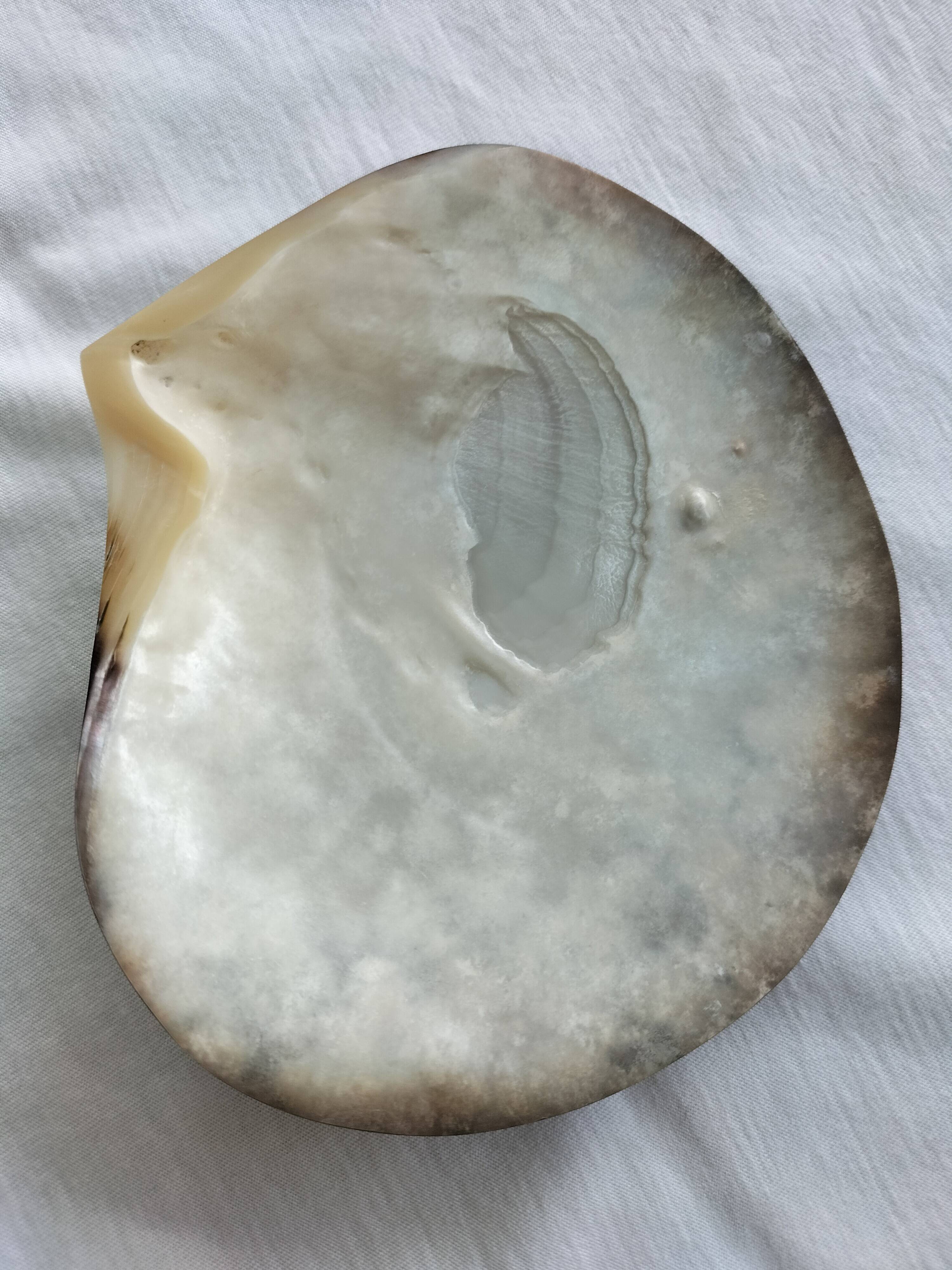 Shell-shaped pocket tray from the pearl oyster of the islands.