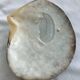 Shell-shaped pocket tray from the pearl oyster of the islands.