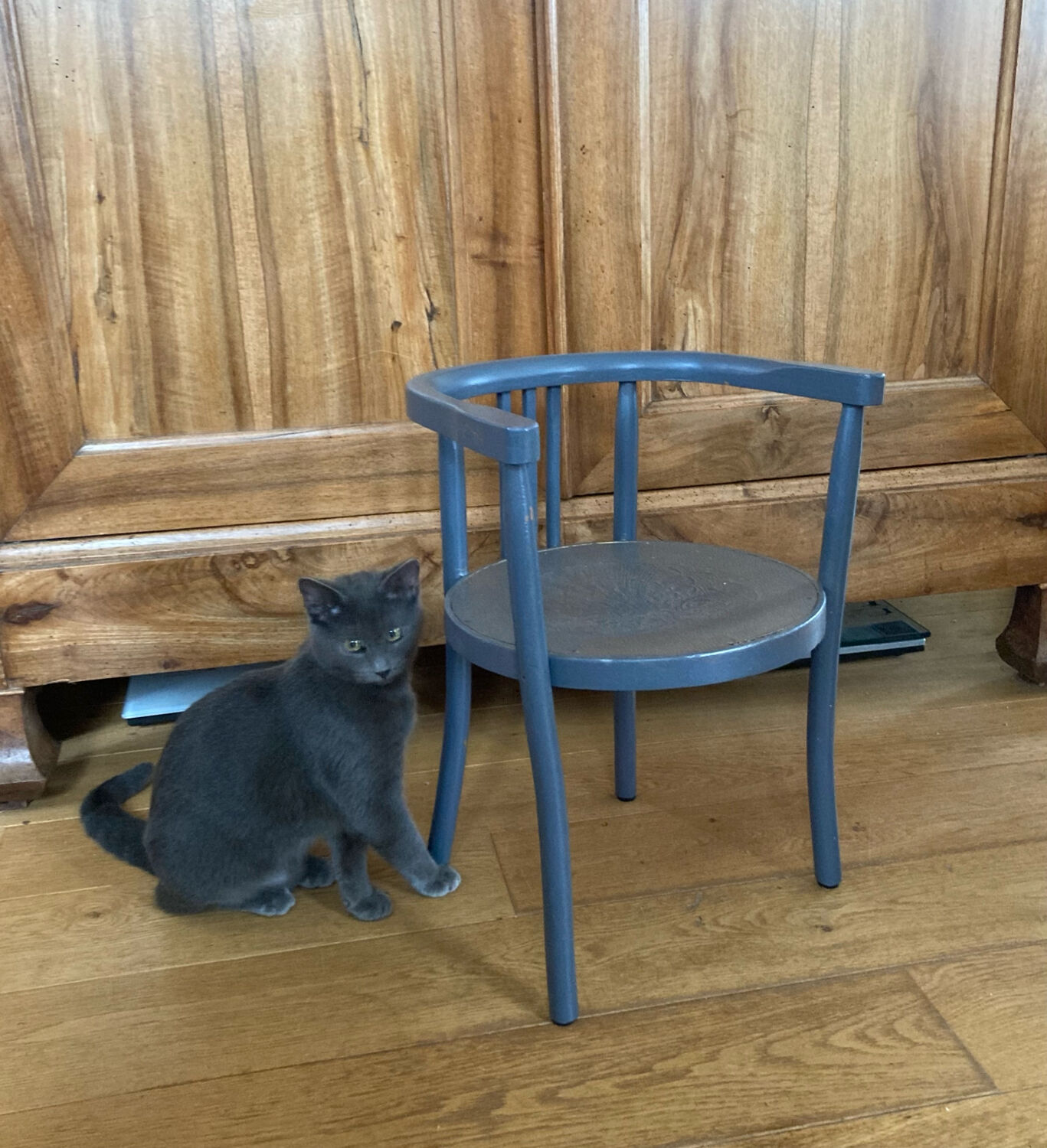 Curved wooden armchair from the late 19th/early 20th century.