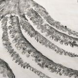 Original print of an octopus