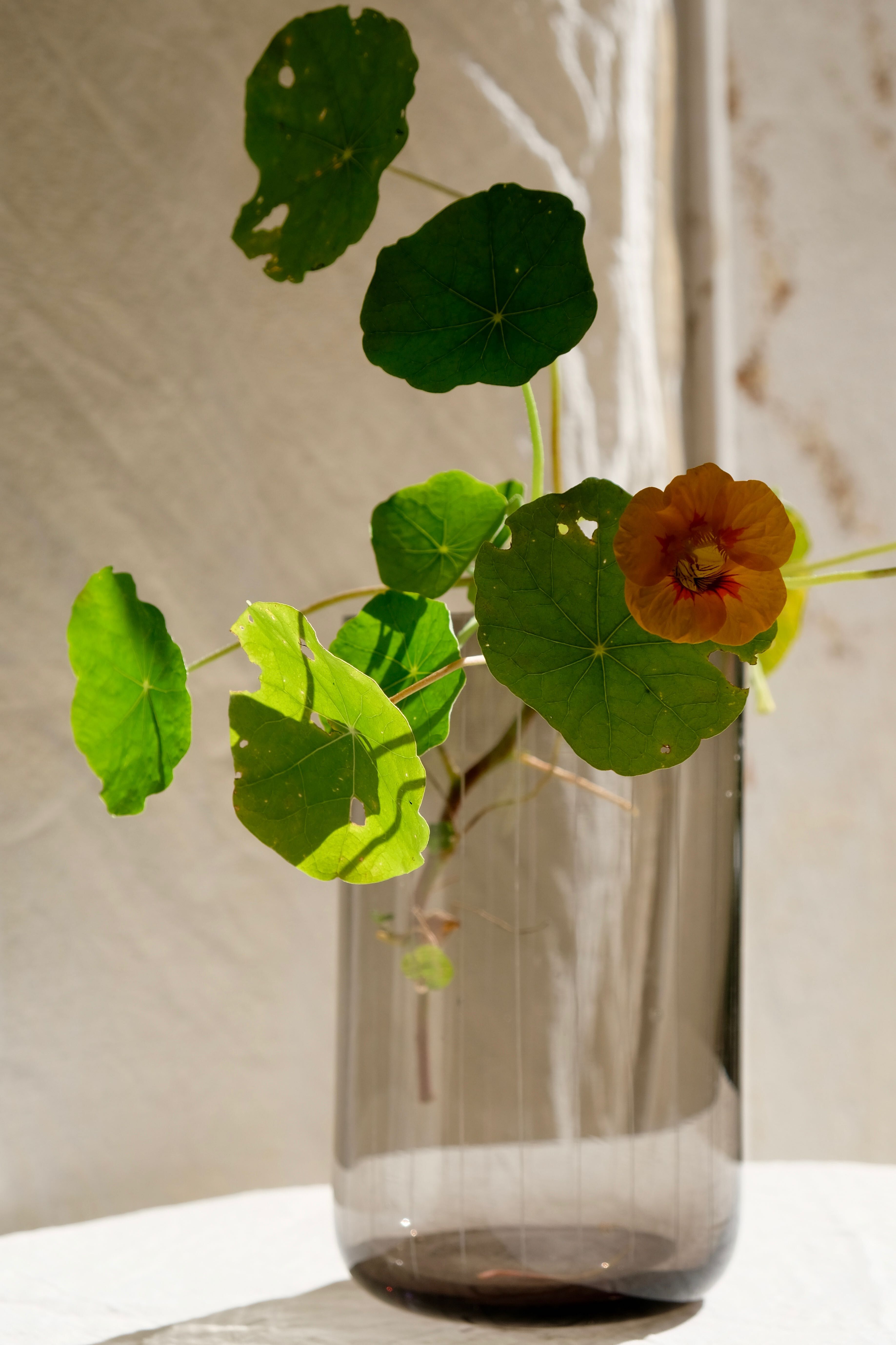 Vase mouth-blown glass 50s