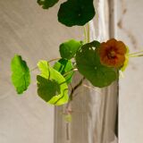 Vase mouth-blown glass 50s