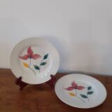2 Digoin Sarreguemine plates