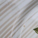 Sarreguemines plates