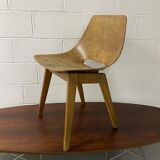 Chair Amsterdam first edition Steiner Guariche