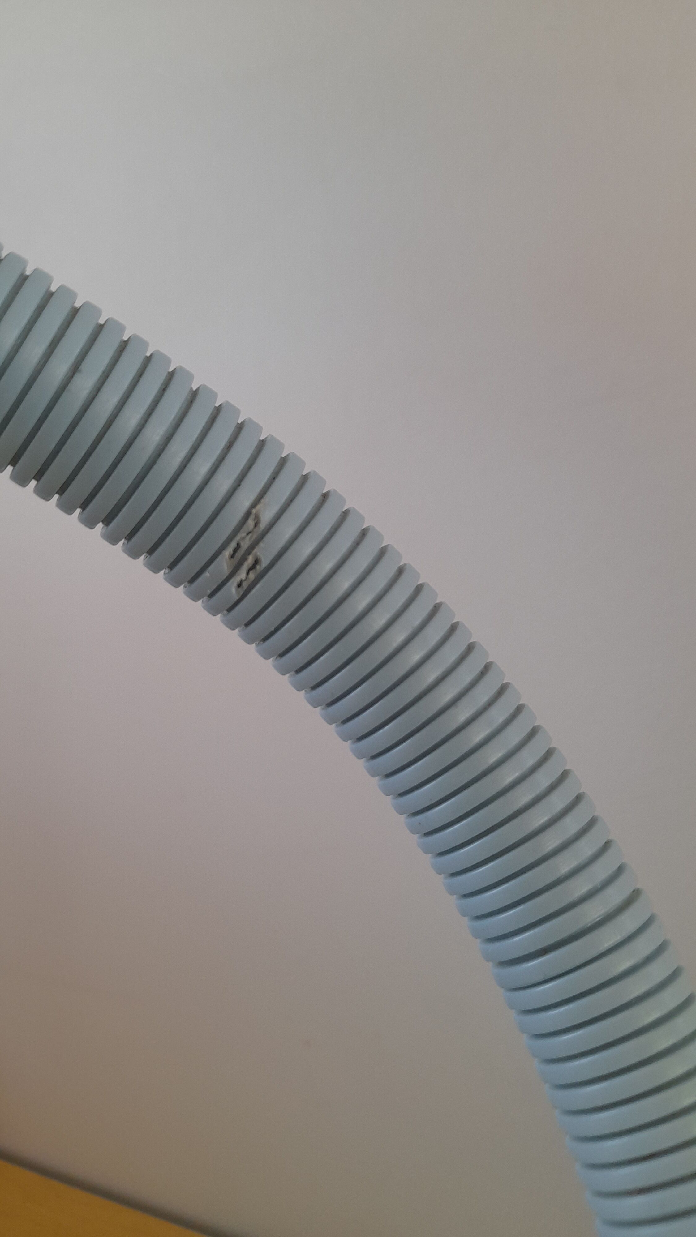 Blue snake lamp