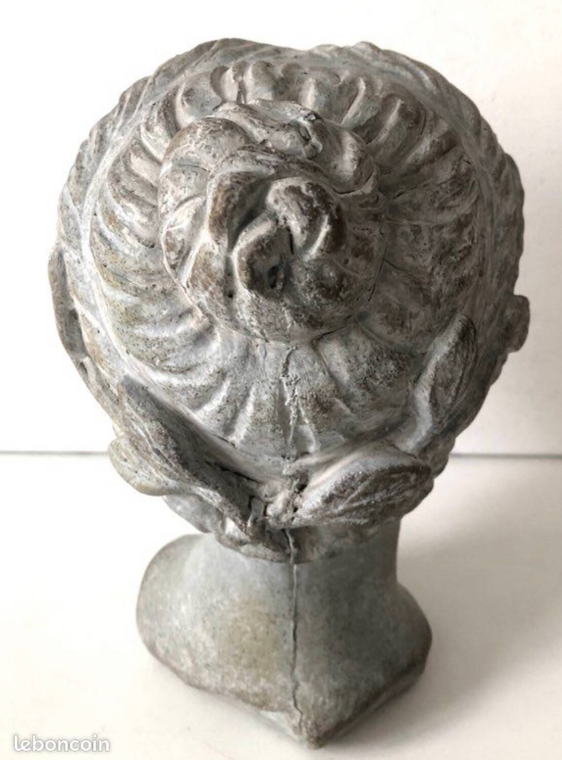 Woman's Head