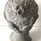 Woman's Head
