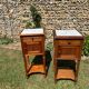 Pair of wooden and white marble bedside tables circa 1900