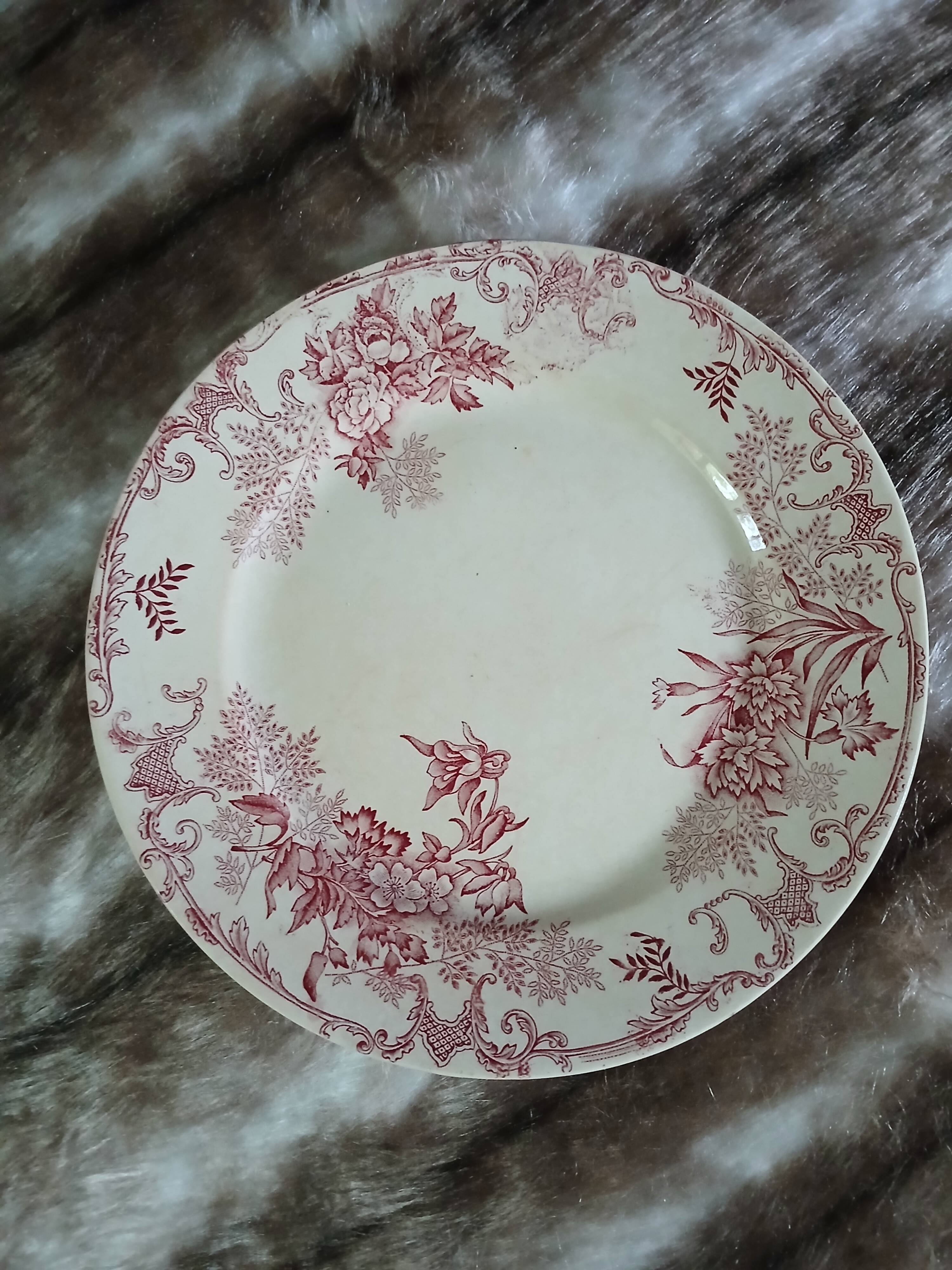 10 assiettes plates anciennes en Terre de fer