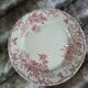 10 assiettes plates anciennes en Terre de fer