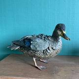Polychrome terracotta duck