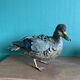 Canard en terre cuite polychrome