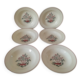 HBCM plates, Agnès model