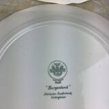 6 Villeroy and Boch Dinner Plates